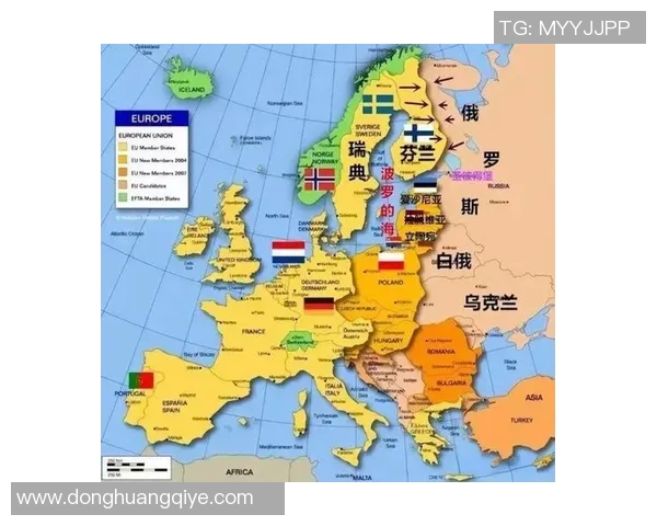 德国与比利时全场精彩对决回顾与分析