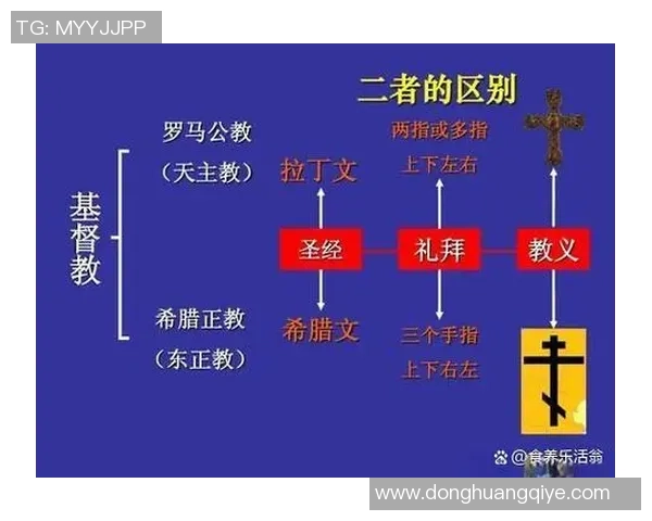 普R斯与拿加沙的对决：历史背景与未来走向的深度剖析